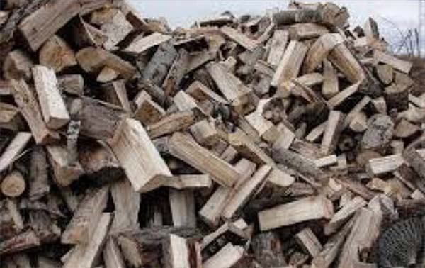 Poplar firewood